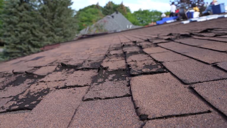 Best Roof Ventilation Installation  in Poplar Grove, IL