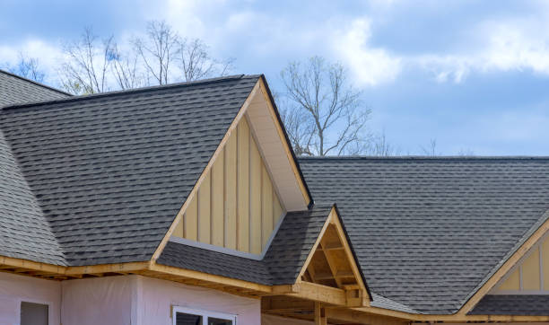 Best Skylight Installation and Repair  in Poplar Grove, IL
